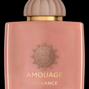 Guidance 46 100ML